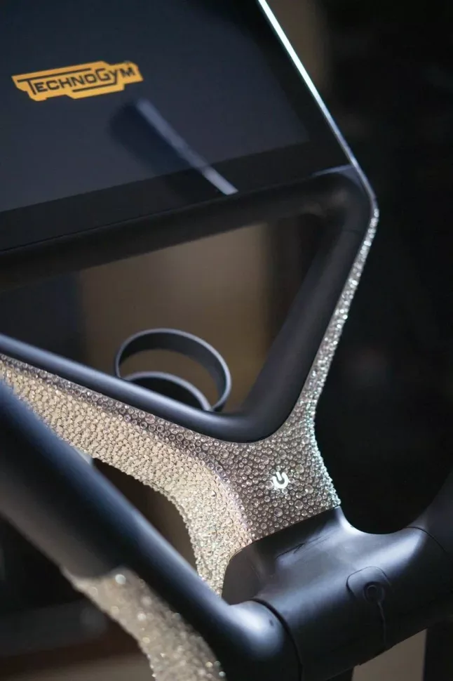 Эллиптический тренажер TechnoGym Personal Cross (+ Swarovski)